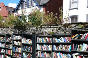 Hay on Wye July 2008 057