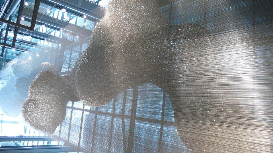 Wellcome Trust - June 2009 006