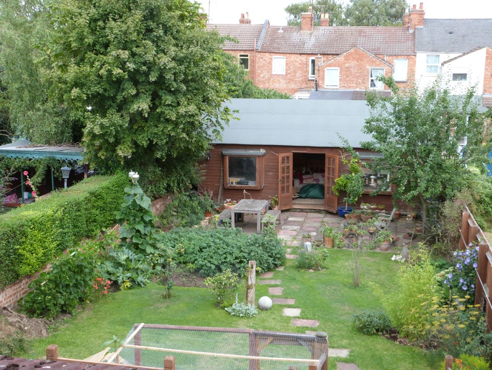 Garden 15th August 2013