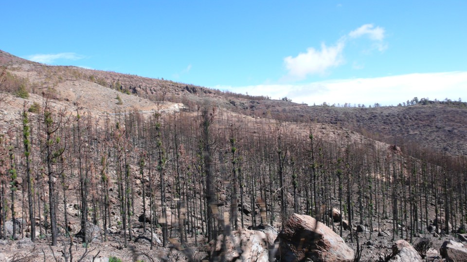 2013-04-16 16.19.00-2