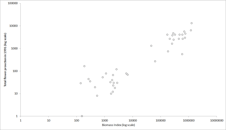 Lotus flower production graph 1991