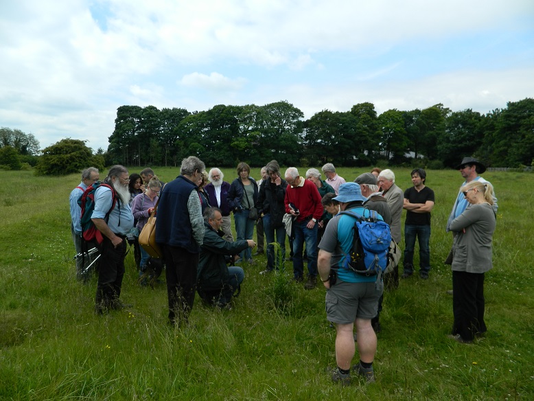 bradlaugh-fields-walk-in-the-meadows-14th-june-2015-007