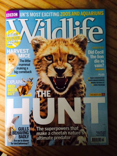 BBC WIldlife Magazine