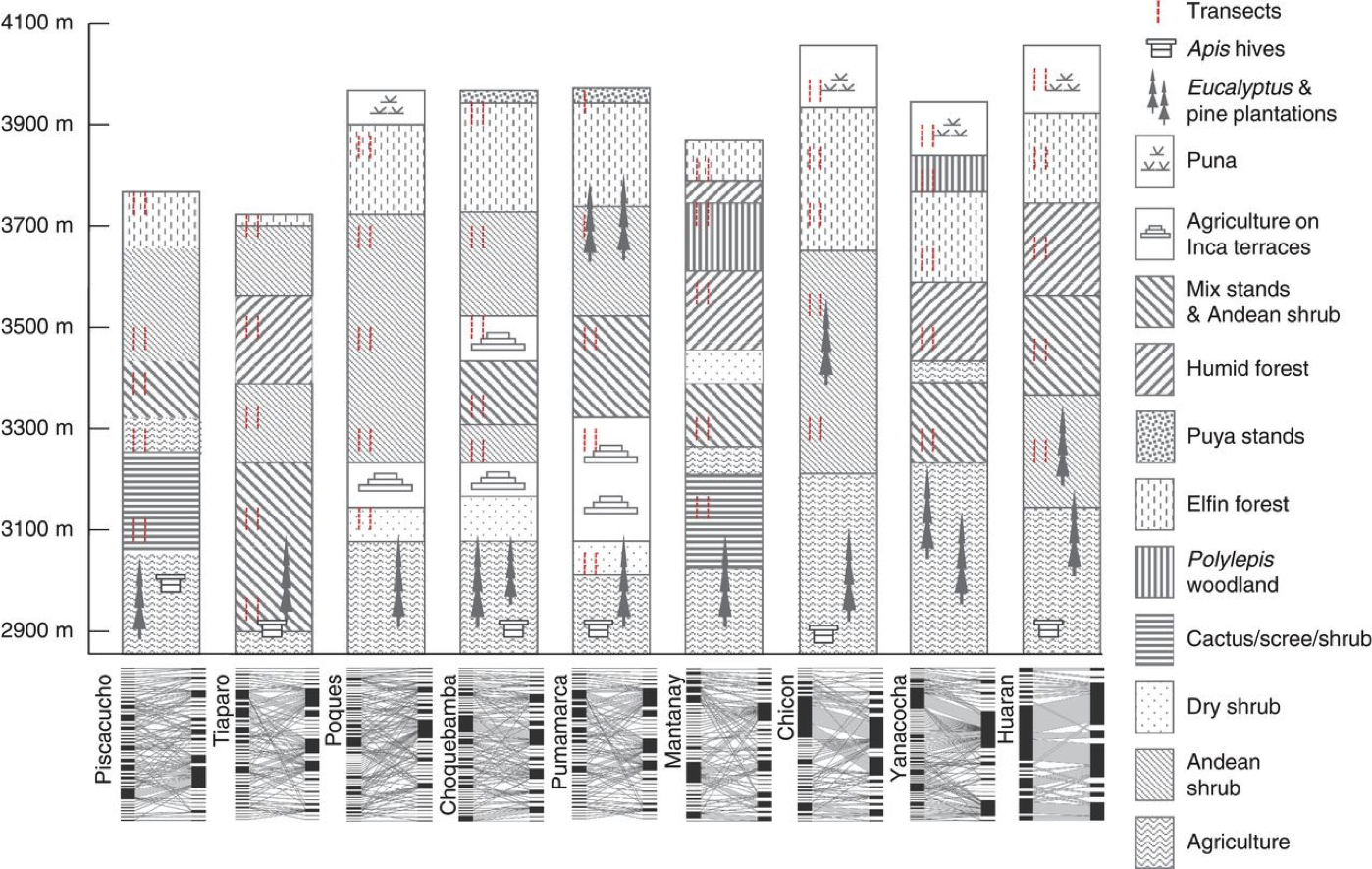 Watts et al Figure 1