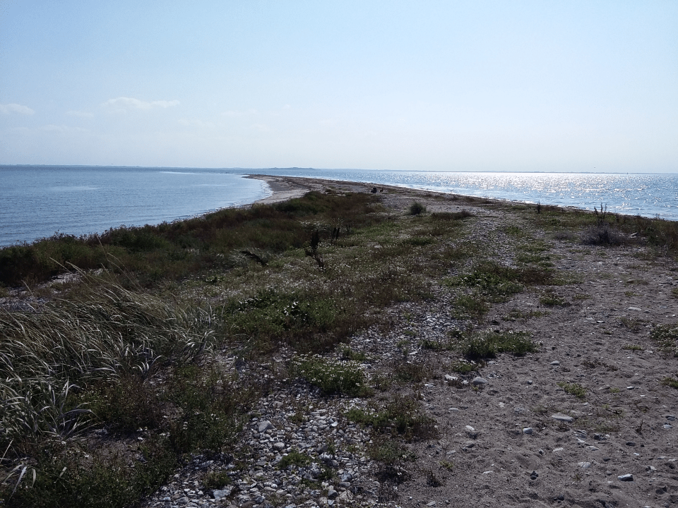 Sejero - 20160910_113537.png