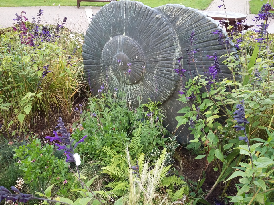 Journey 20161026_165922.png