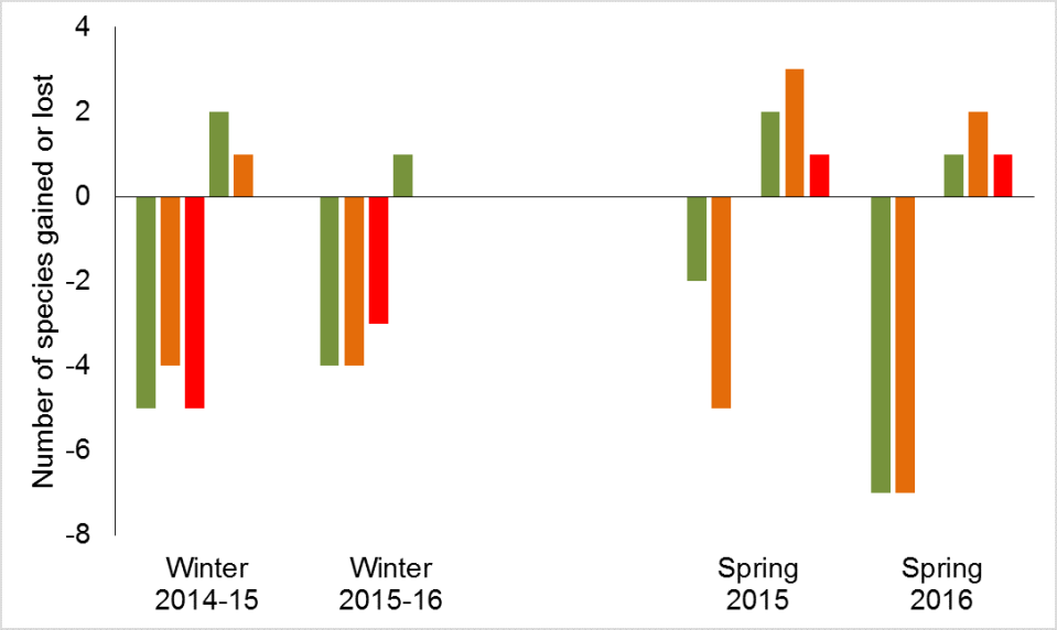 bird-gains-and-losses