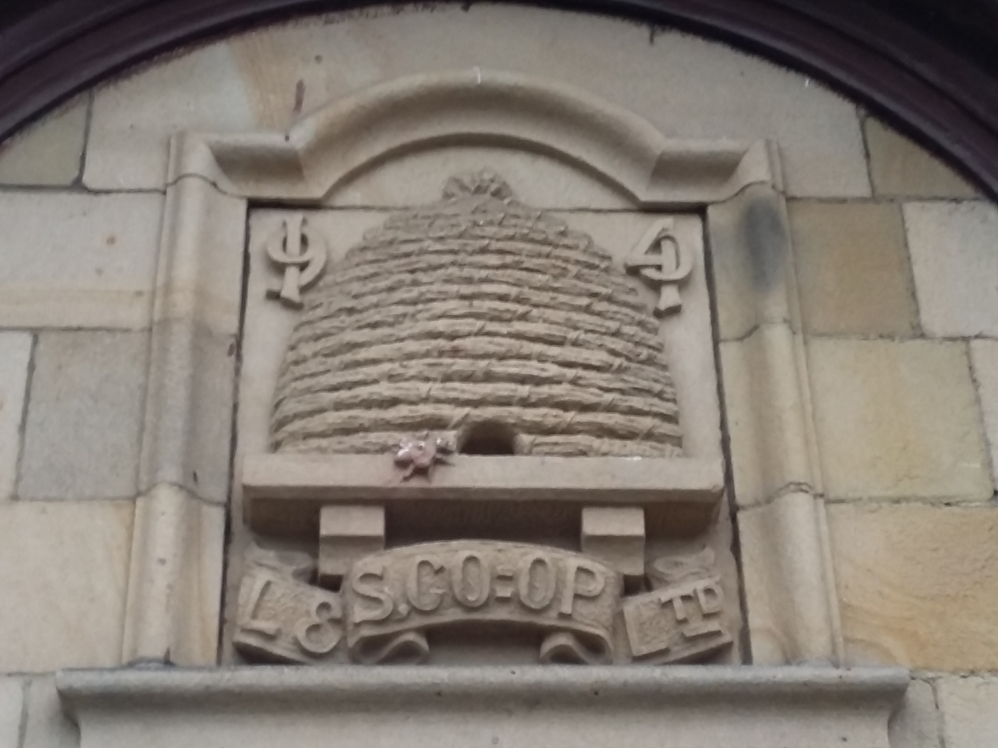 Co-op skep20161113_145113.png