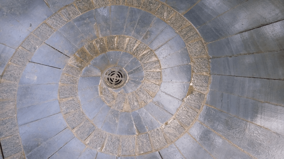 OBG fern house spiral 20151112_142549.png