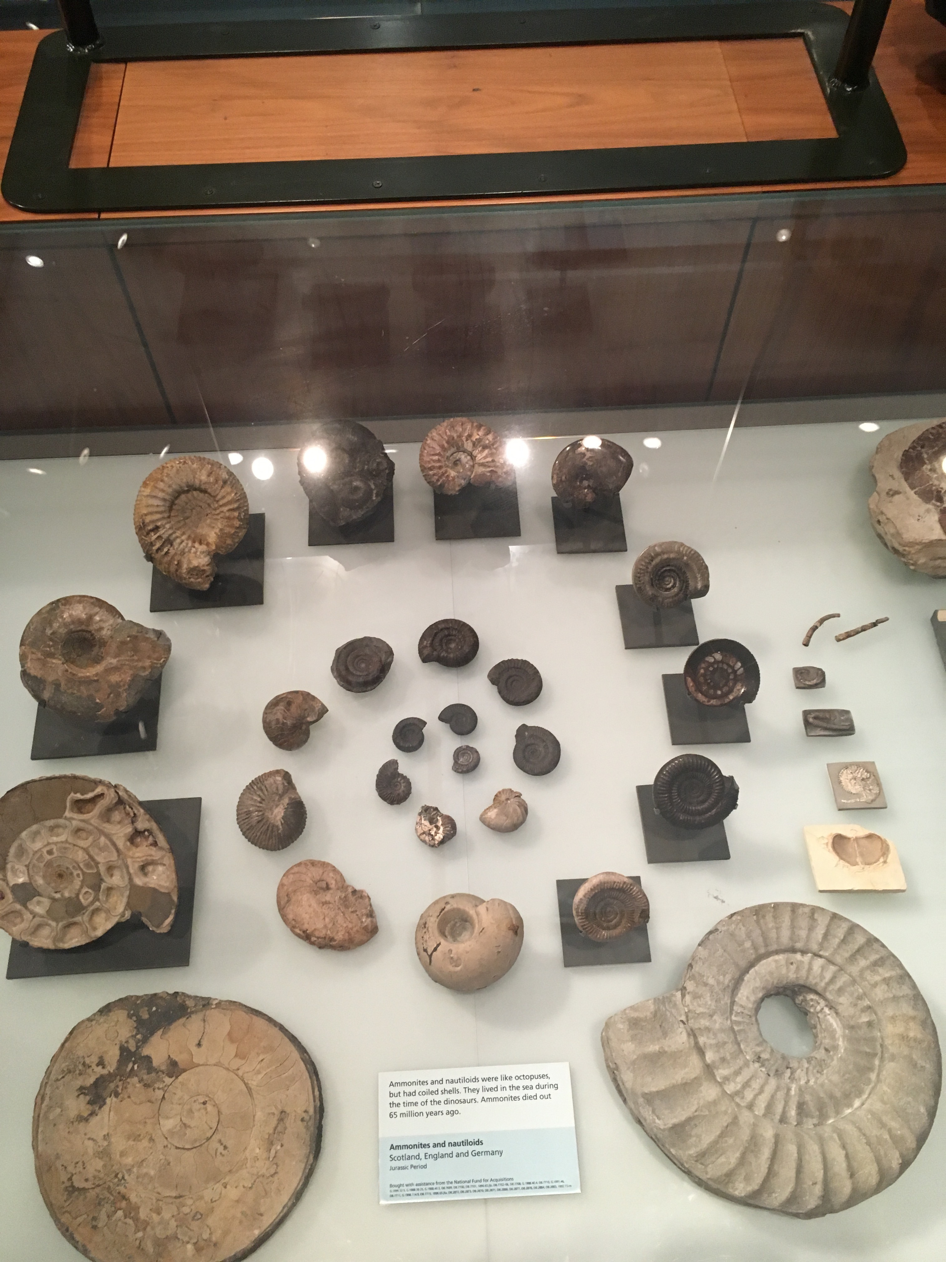 sprial-of-spirals-lo-res