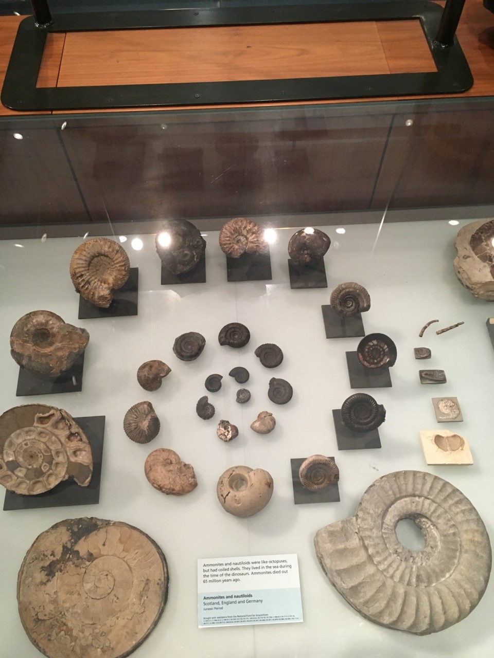 sprial-of-spirals-lo-res