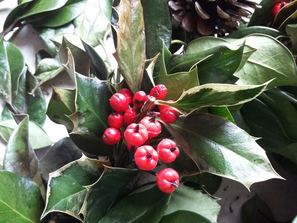 wreath-20170107_130333