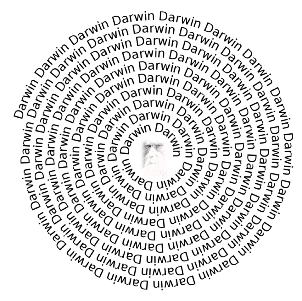 darwin-spiral-final