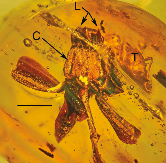 Screen Shot 2017-04-13 at 17.13.41