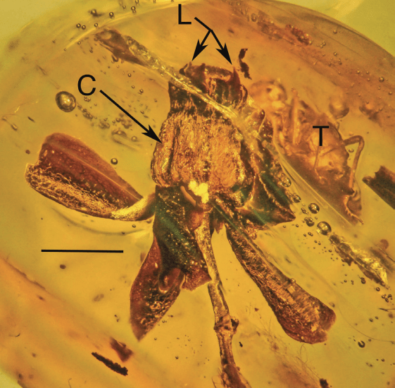 Screen Shot 2017-04-13 at 17.13.41