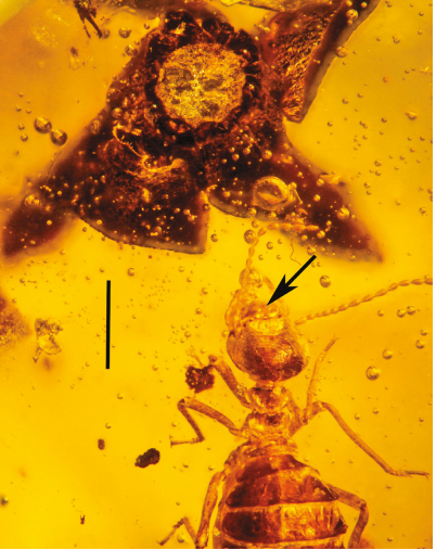 Screen Shot 2017-04-13 at 17.25.48