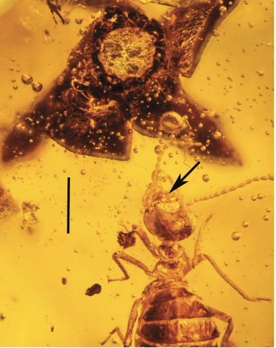 Screen Shot 2017-04-13 at 17.25.48