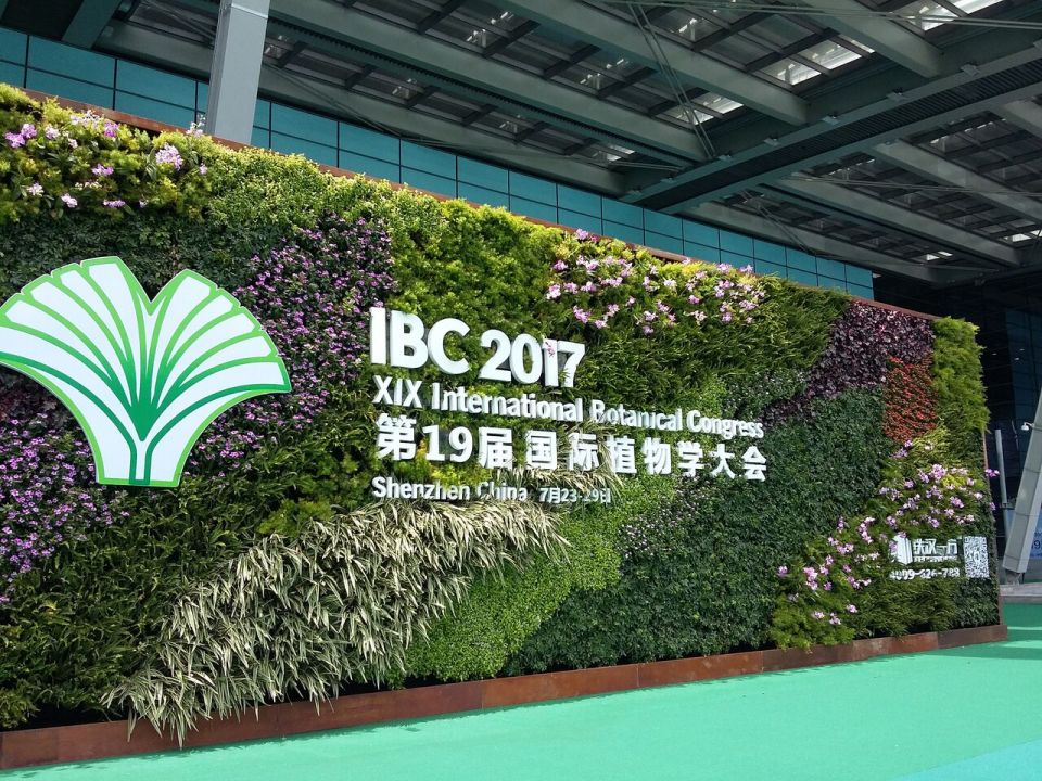IBC 1