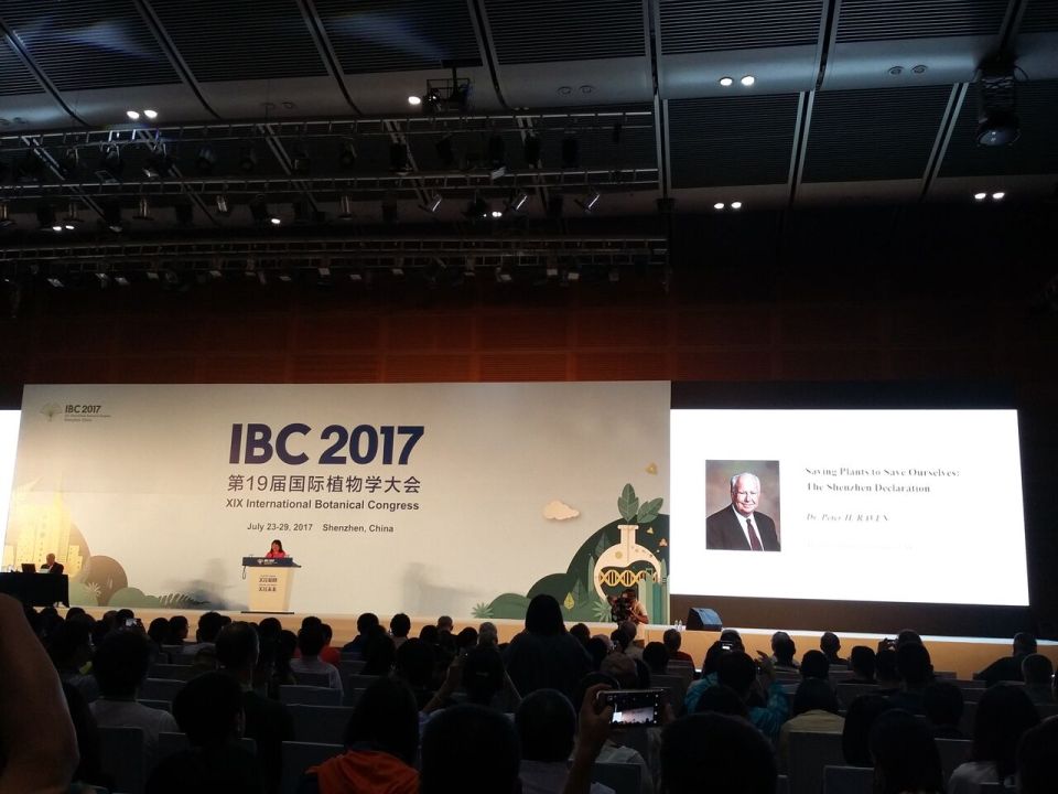 IBC 11