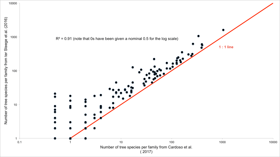 Amazon tree diversity
