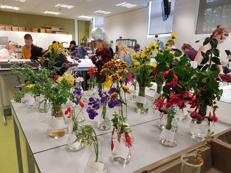 Students in the pollination practical 20171012_111355_preview