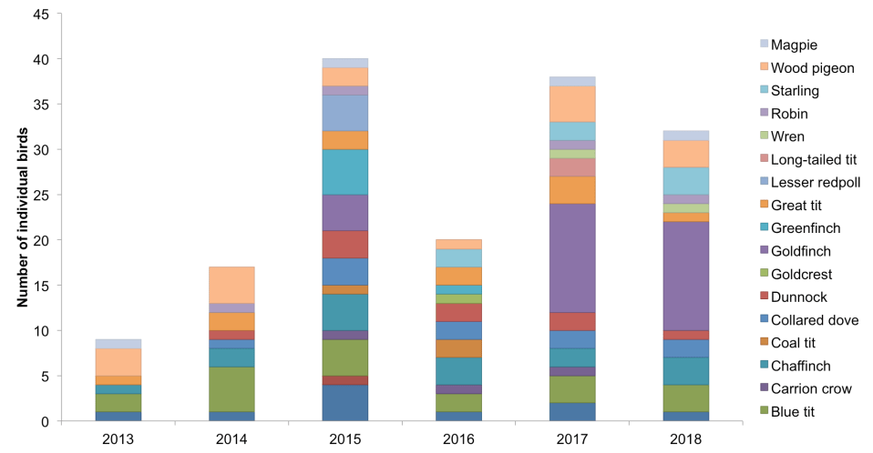 Big garden bird watch