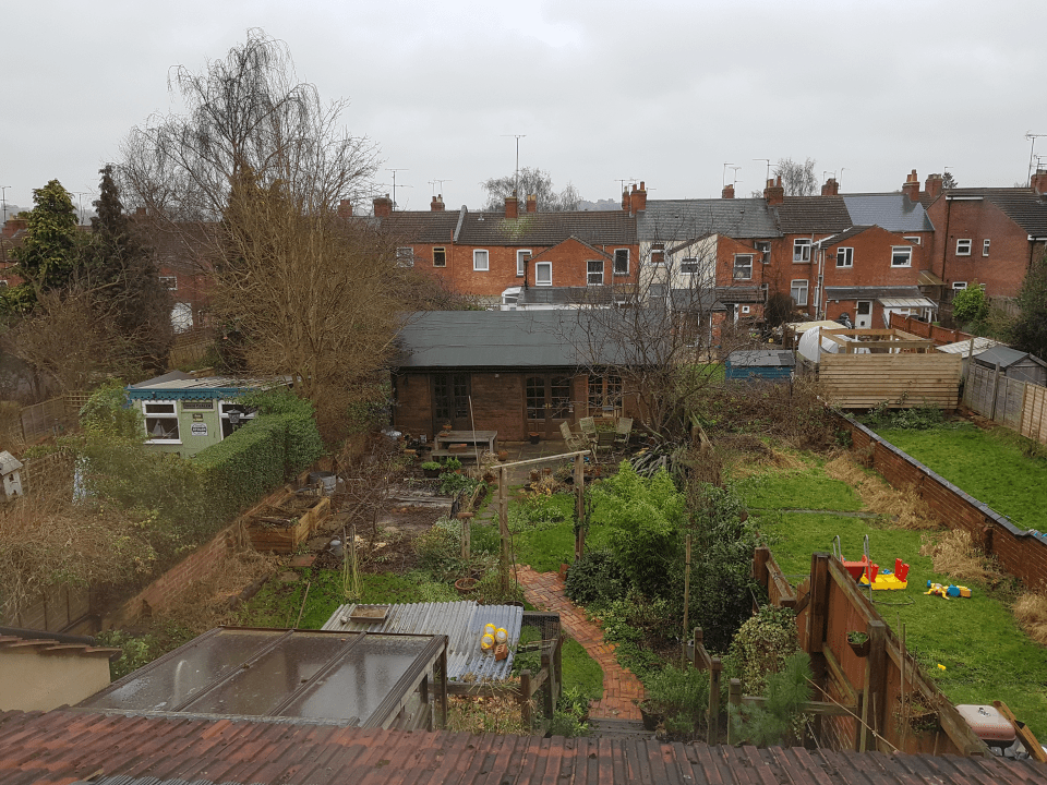 The garden 20180127_114638.png