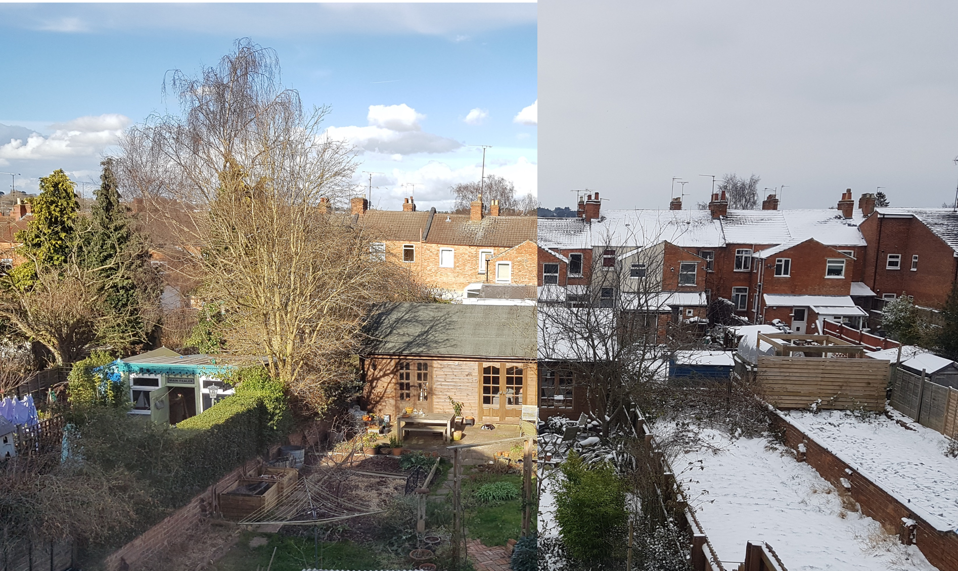Snow-Warm garden comparison