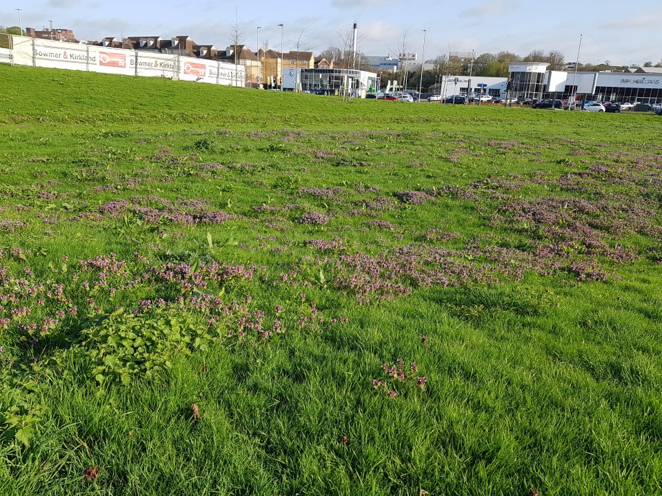 Tractor 1 2018-04-18 08.21.14