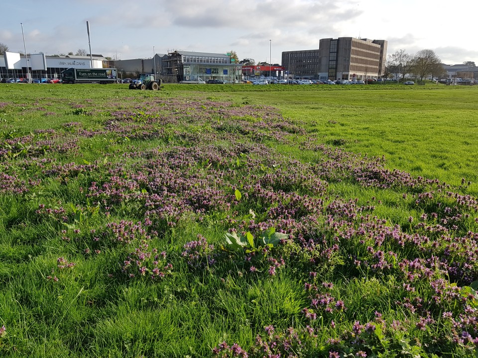 Tractor 4 2018-04-18 08.25.06