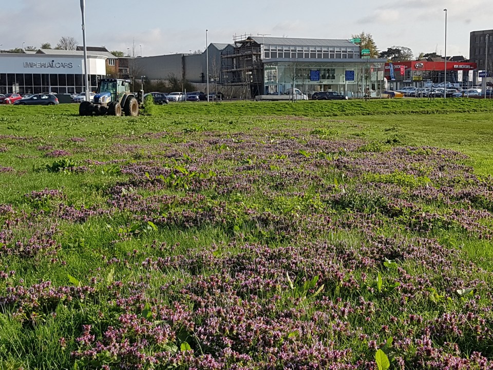 Tractor 5 - 2018-04-18 08.25.12