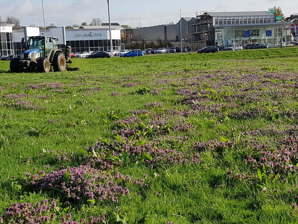 Tractor 6 - 2018-04-18 08.25.25