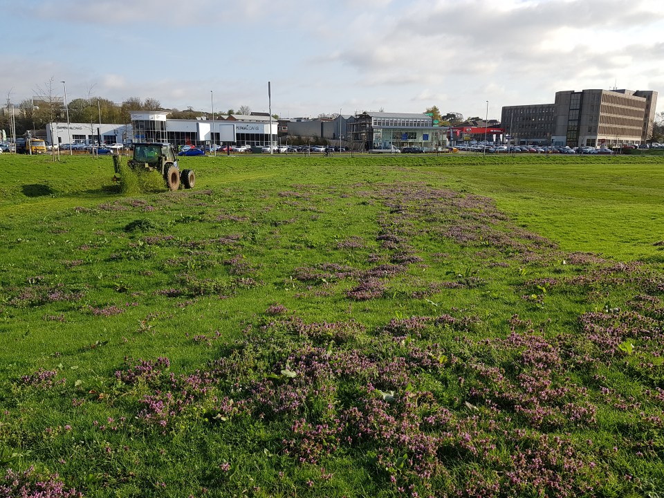 Tractor 9 - 2018-04-18 08.26.33