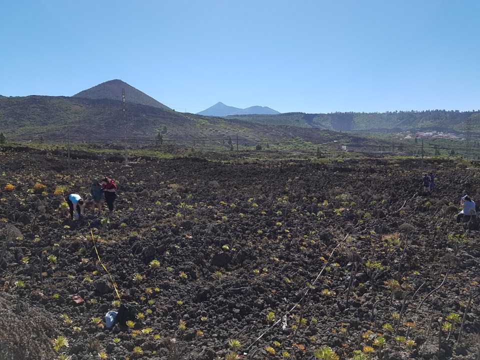 Santiago del Teide 2018-04-28 11.21.30.jpg