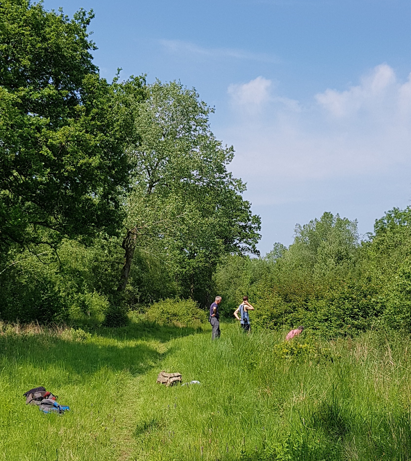 Skipper watching 2018-05-26 15.10.18