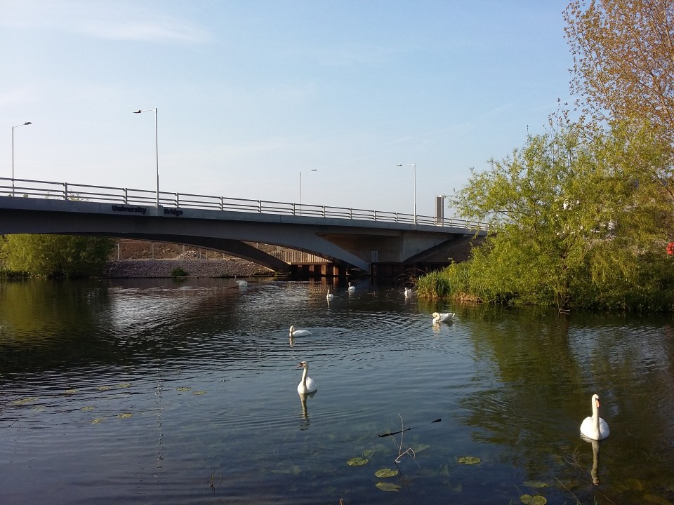 2017-05-11 07.37.52.jpg