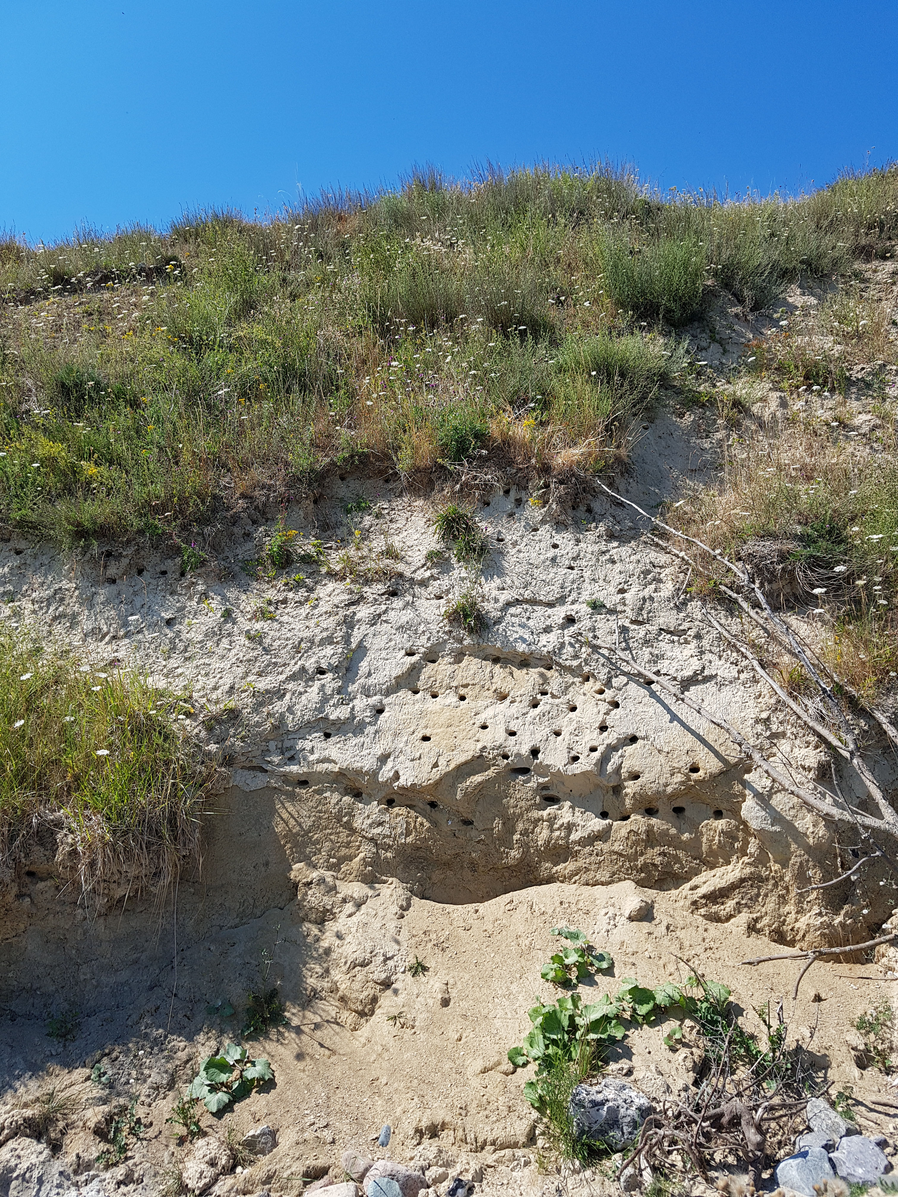 2018-07-13 12.02.21.jpg