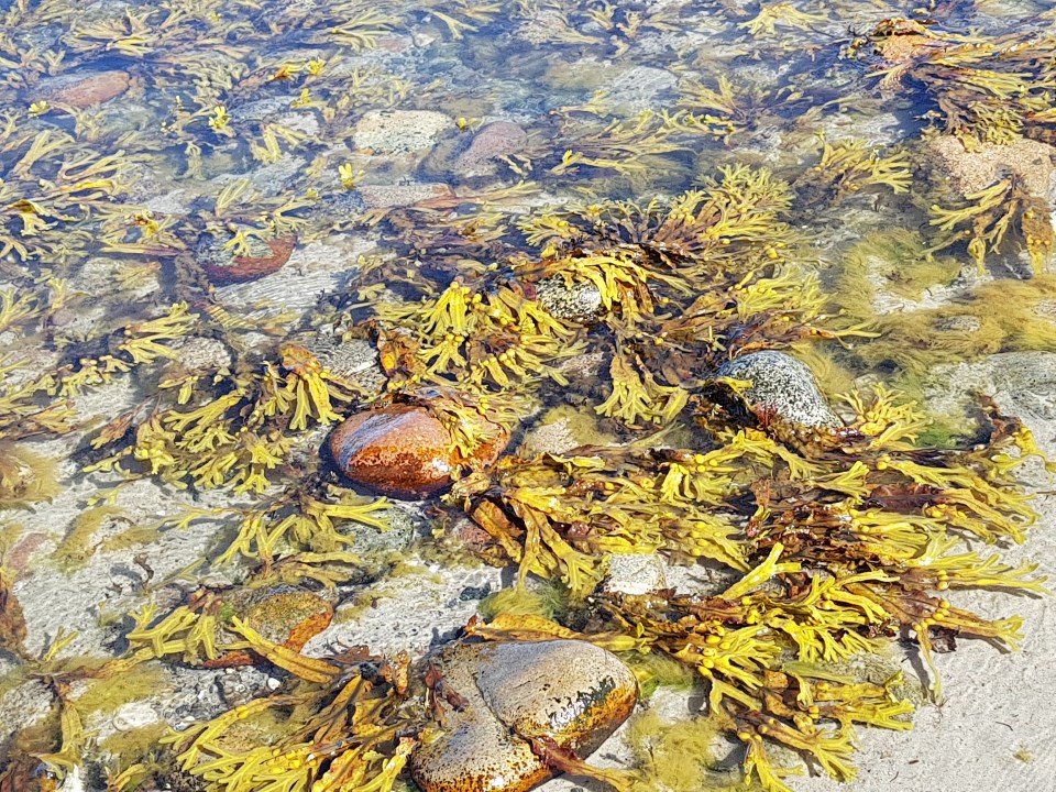 2018-07-14 15.55.25.jpg