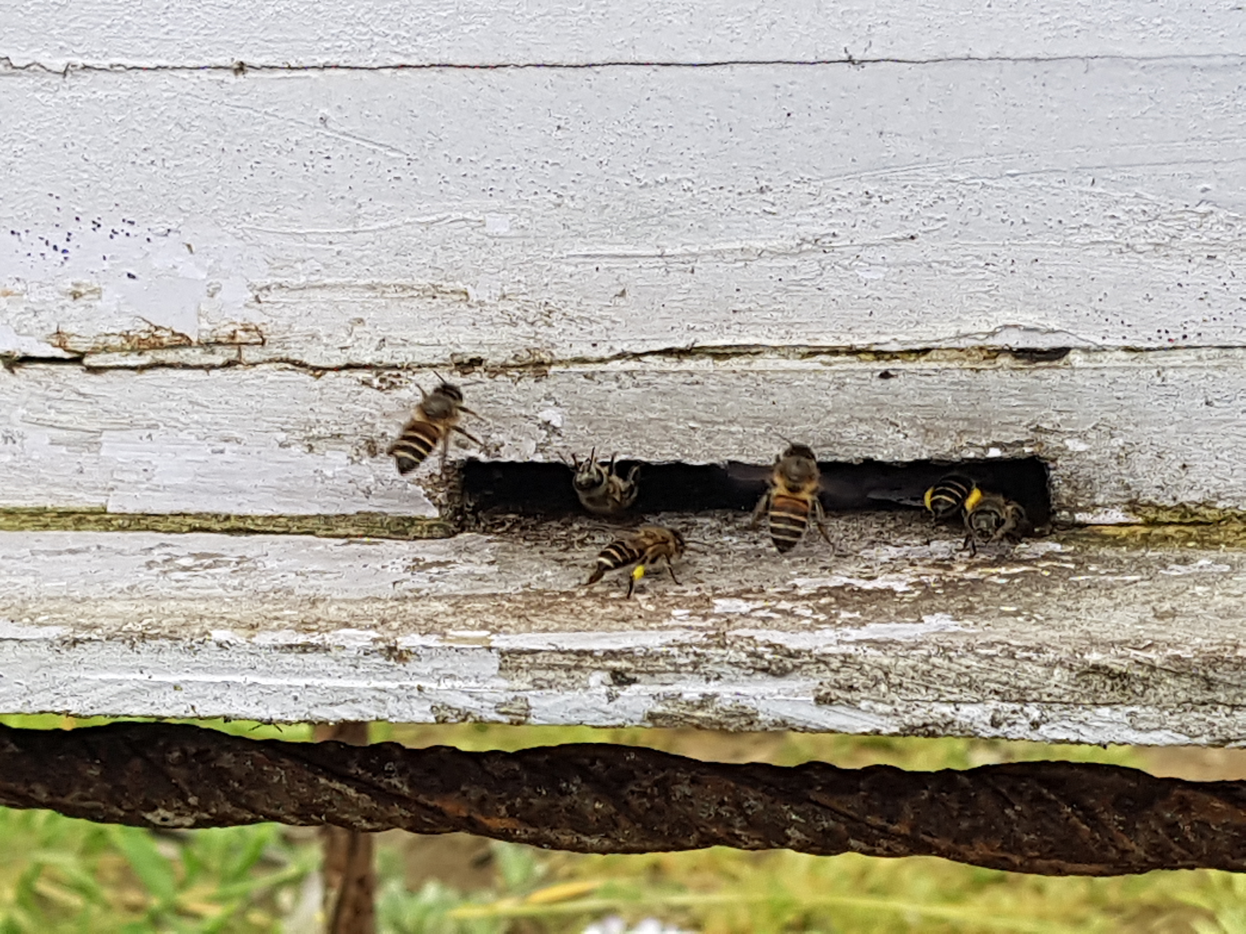 2019-03-29 08.48.34-1