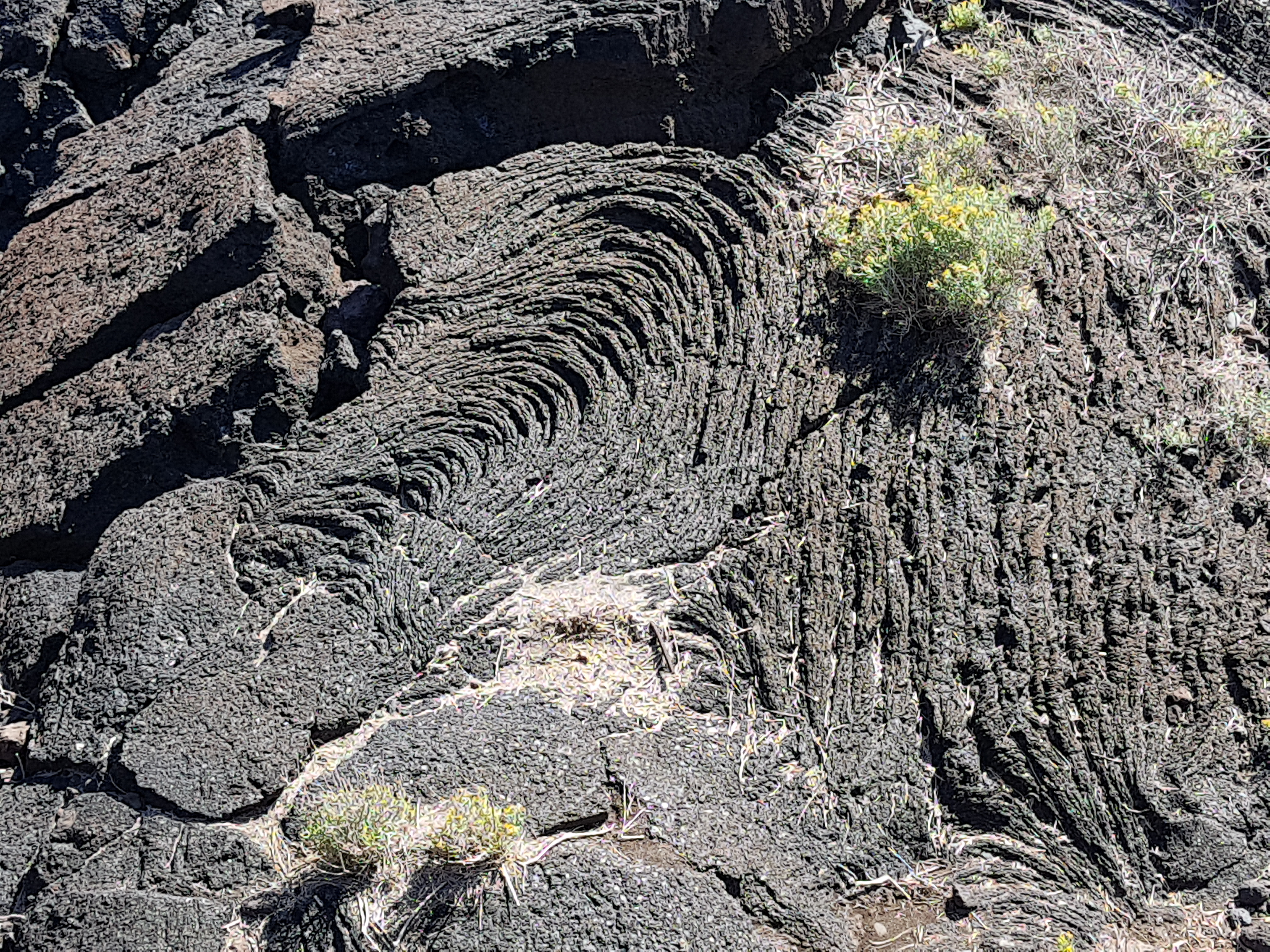 2019-04-23 17.42.40.jpg