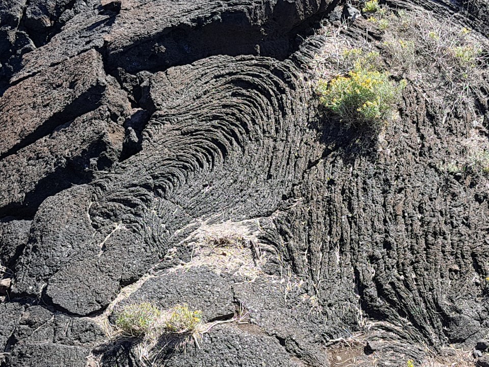 2019-04-23 17.42.40.jpg