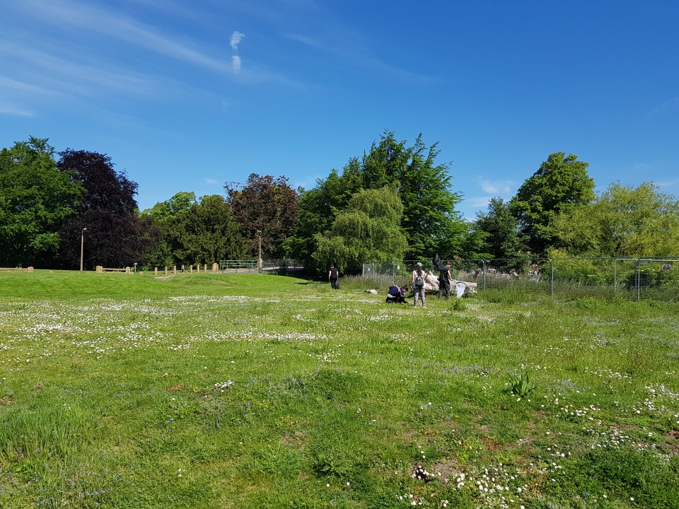 2019-05-23 10.23.22.jpg