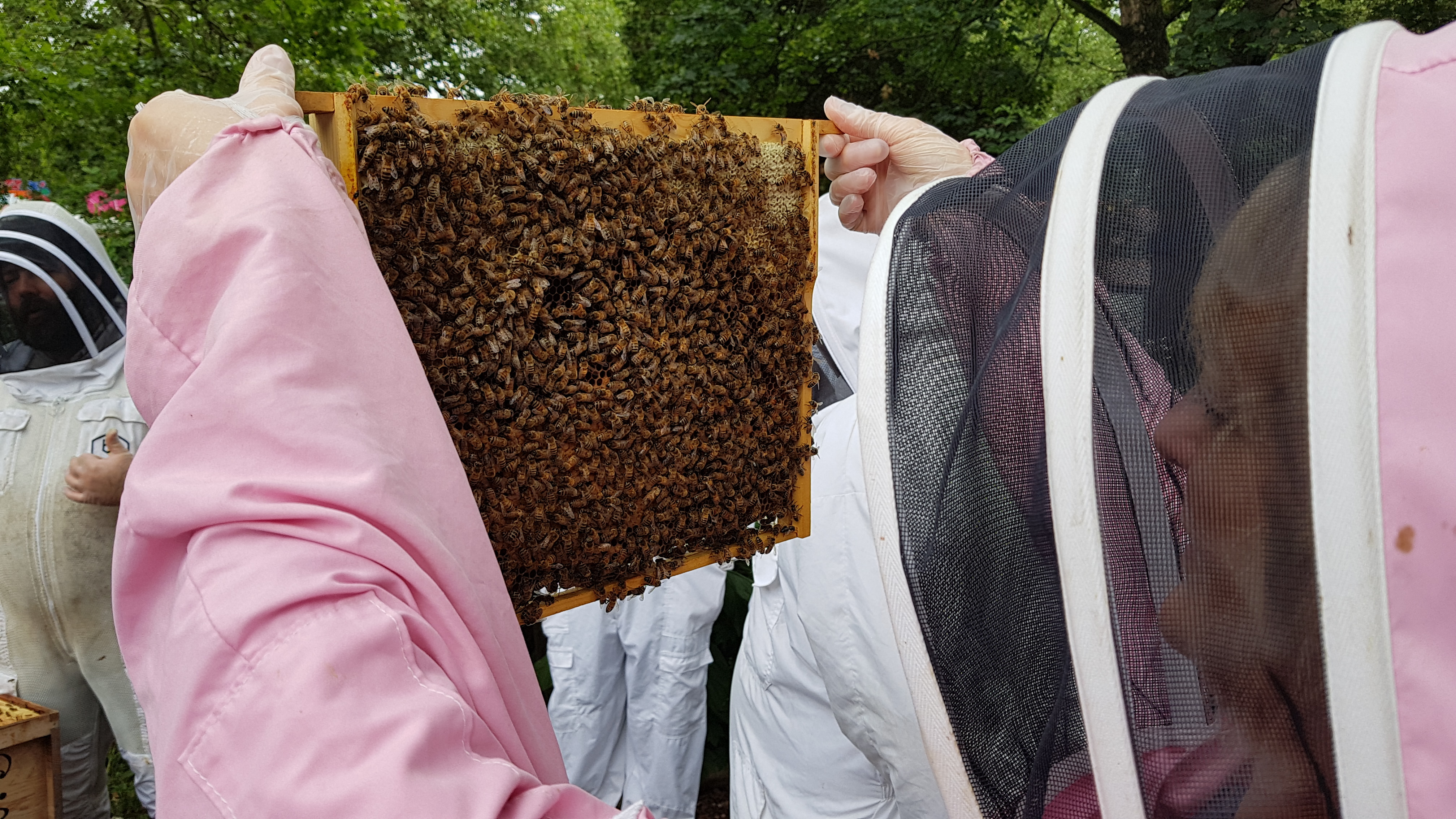 2019-07-28 11.18.31-1-1