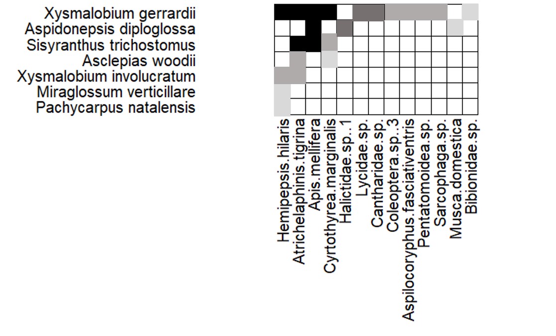South Africa nested weighted