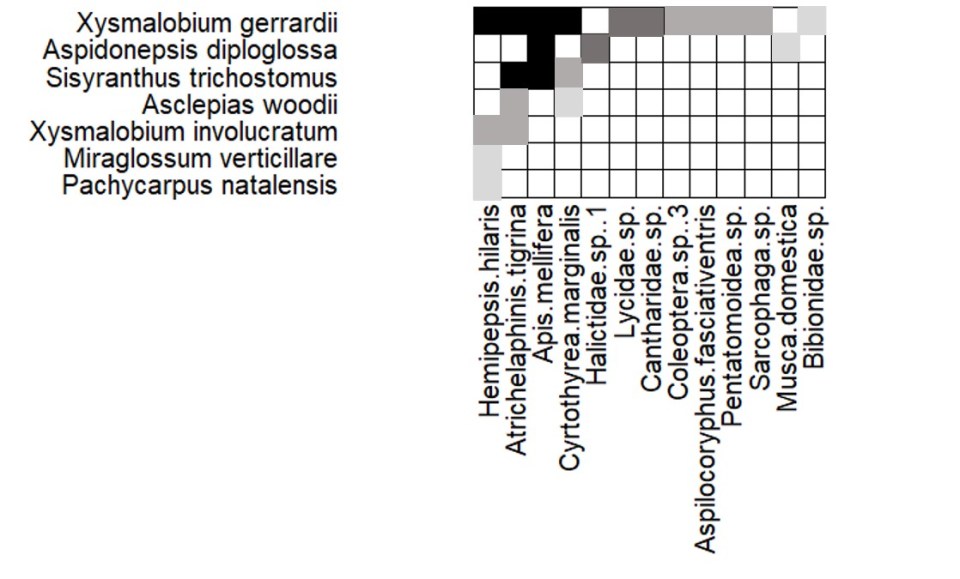 South Africa nested weighted