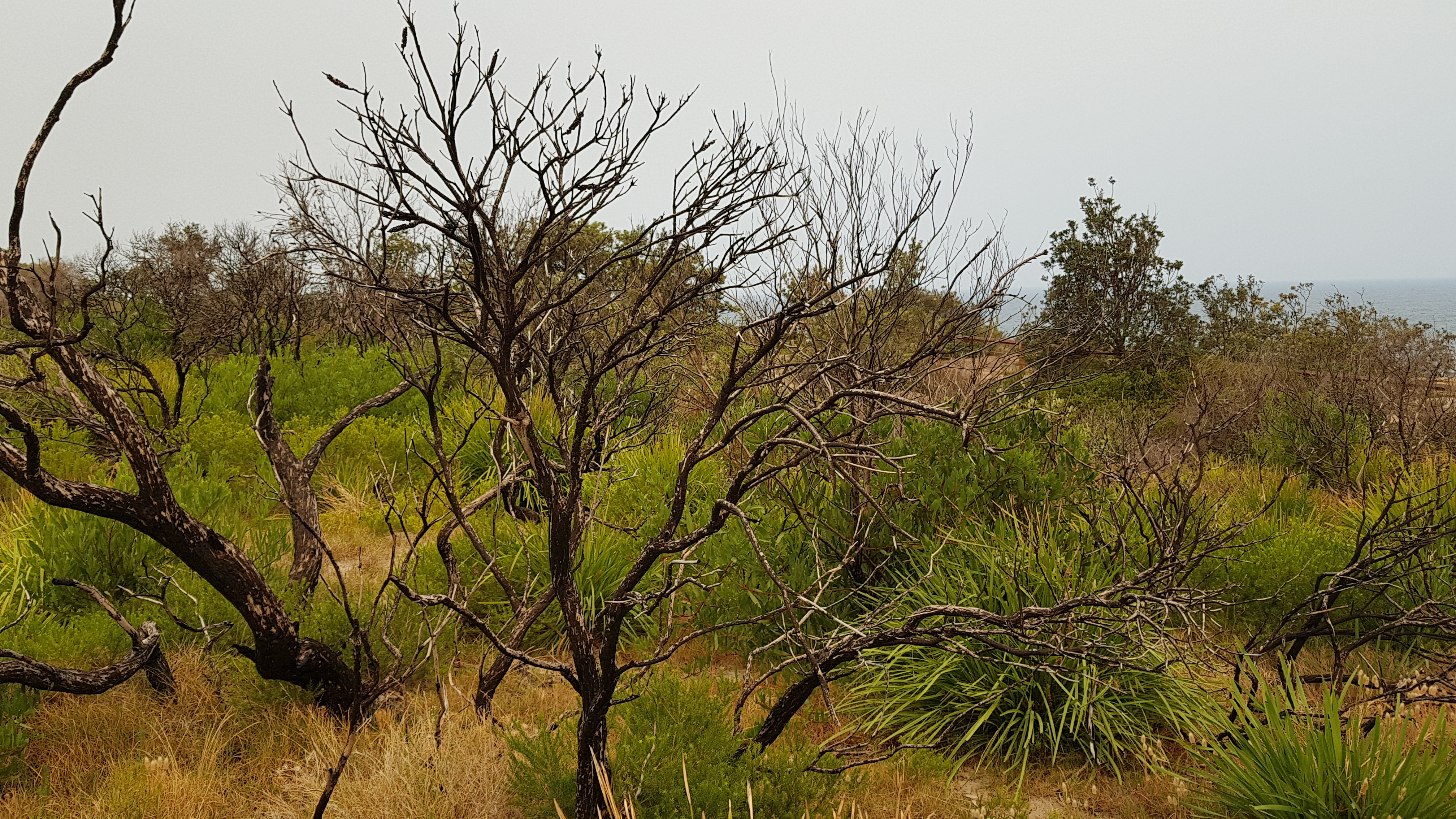 2019-12-07 15.12.51 (1)