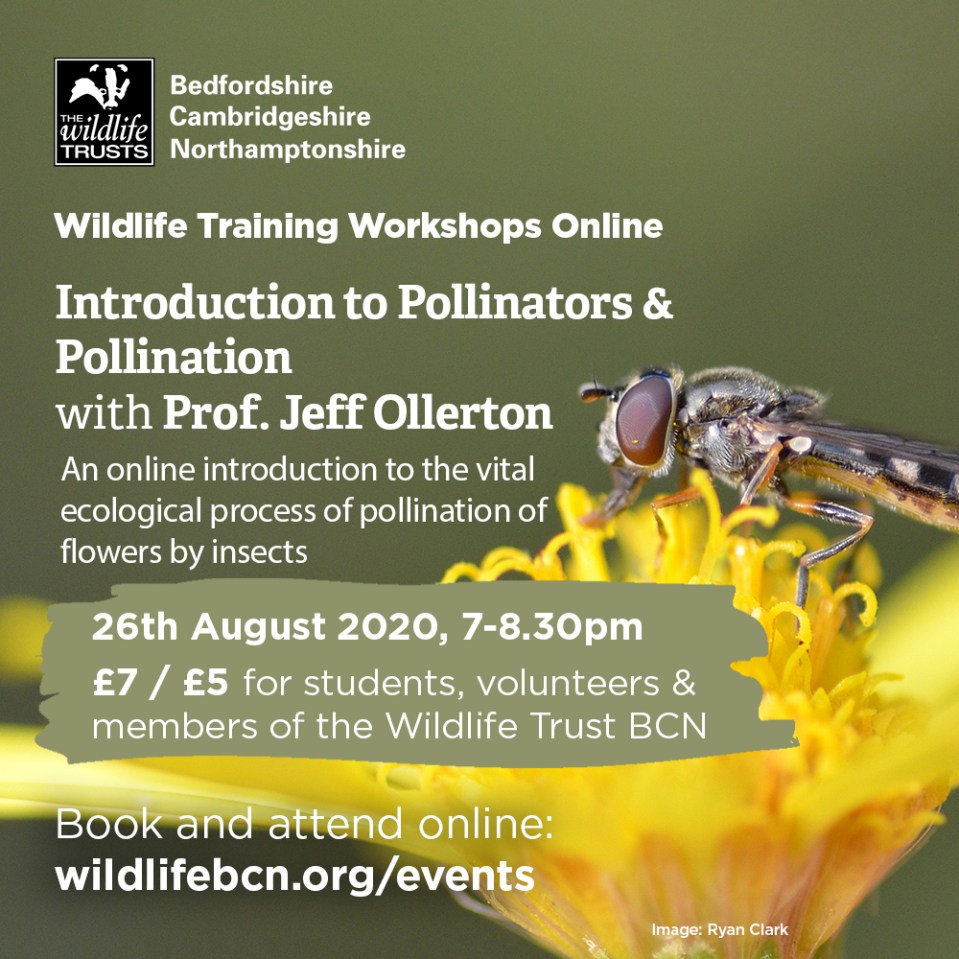 Jeff WT workshop 2020